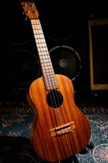Kamaka HF-3
