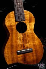 Kamaka HF-2 / 2008_10