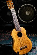 Kamaka HF-1