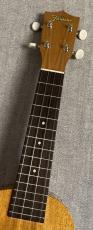 Famous FS-5G【48回無金利】【70年続く老舗メーカー】_4