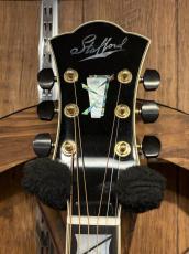 Stafford SAD-1999 VS【L.R.Baggs HiFi Duet取付済み】【12本限定】_5