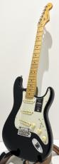 Fender American Professional II Stratocaster, Maple / Black_2