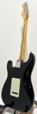 Fender American Professional II Stratocaster, Maple / Black_7