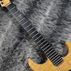 P-Project Custom Order Model_3