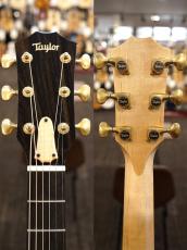 Taylor 【個体演奏動画あり】CTM GA -Quilt Maple J-Spec【アンディ パワーズ選定 極上杢目】_10