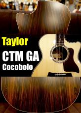 Taylor 【個体演奏動画あり】CTM GA -Cocobolo J-Spec【アンディ パワーズ選定木材杢目】