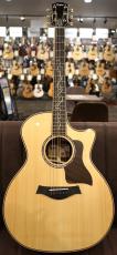 Taylor 【個体演奏動画あり】CTM GA -Cocobolo J-Spec【アンディ パワーズ選定木材杢目】_3