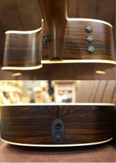 Taylor 【個体演奏動画あり】CTM GA -Cocobolo J-Spec【アンディ パワーズ選定木材杢目】_8