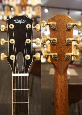 Taylor 【個体演奏動画あり】CTM GA -Cocobolo J-Spec【アンディ パワーズ選定木材杢目】_11