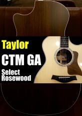 Taylor 【個体演奏動画あり】CTM GA -Select Rosewood J-Spec【アンディパワーズ選定】【担当の理想の音】