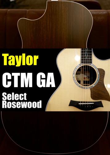 Taylor 【個体演奏動画あり】CTM GA -Select Rosewood J-Spec【アンディパワーズ選定】【担当の理想の音】