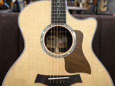 Taylor 【個体演奏動画あり】CTM GA -Select Rosewood J-Spec【アンディパワーズ選定】【担当の理想の音】_5