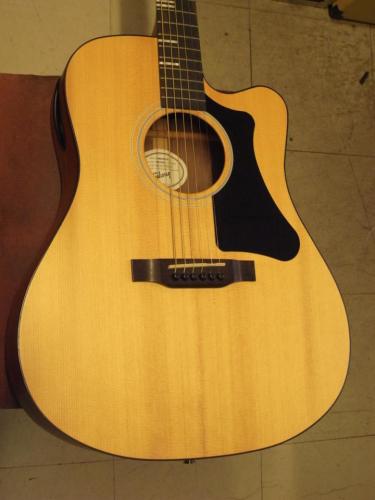 Gibson G-WRITER EC (2022)