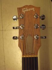 Gibson G-WRITER EC (2022)_6