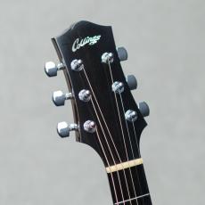 Collings C10ASS Adirondack Spruce Top / Short Scale / 2009_9