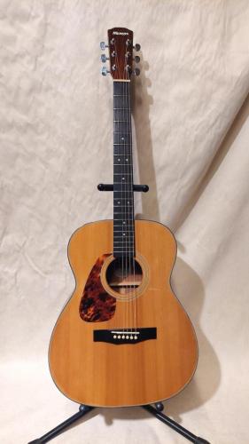 Morris F-01LH NAT