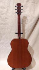 Morris F-01LH NAT_3