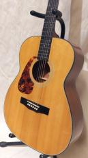 Morris F-01LH NAT_4
