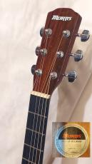 Morris F-01LH NAT_5