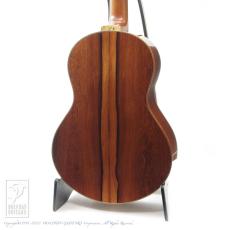 ROTEMAR GUITARS R1 (Madagascar Rosewood)_3