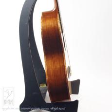 ROTEMAR GUITARS R1 (Madagascar Rosewood)_5