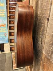 Martin D-10E Retro Sapele #3083574 【ニューモデル!!】_10
