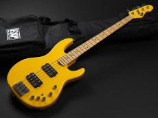 ESP AP-SL Custom Color_2