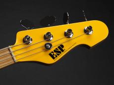 ESP AP-SL Custom Color_3