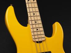 ESP AP-SL Custom Color_4