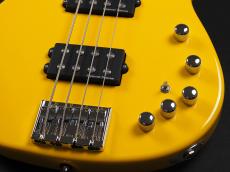ESP AP-SL Custom Color_6