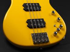 ESP AP-SL Custom Color_7