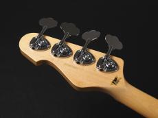 ESP AP-SL Custom Color_9
