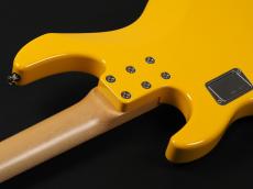 ESP AP-SL Custom Color_11
