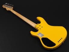 ESP AP-SL Custom Color_12