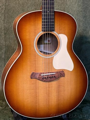 Taylor Gold Label 514e Sunburst w/Cream PG #1207215035 【48回迄金利0%対象】【送料当社負担】