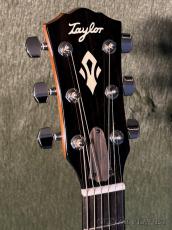 Taylor Gold Label 514e Sunburst w/Cream PG #1207215035 【48回迄金利0%対象】【送料当社負担】_4