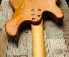 Ibanez ATK-300_8