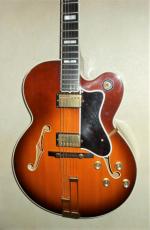 Epiphone EMPEROR_2