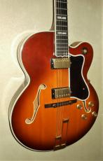 Epiphone EMPEROR_9