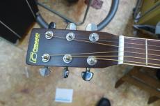 FERNANDES W-300　N_2