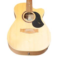 Maton Performer
