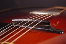 Gibson L-50_6
