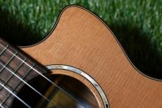 KALA KA-SCAC-T-CE Tenor【USED】_9