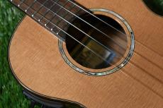 KALA KA-SCAC-T-CE Tenor【USED】_10