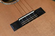 KALA KA-SCAC-T-CE Tenor【USED】_11