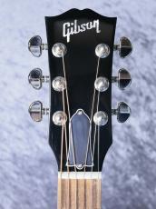 Gibson 【Gibson Expo 出展品】J-45 Standard #22364018  【セカンド品】_7