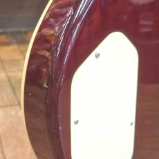 Aria Pro II PE-60_7