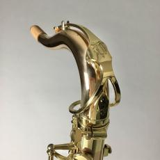 YANAGISAWA T-WO2_2