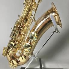 YANAGISAWA T-WO2_4