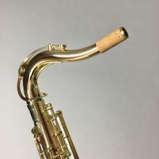 YANAGISAWA T-WO2_5